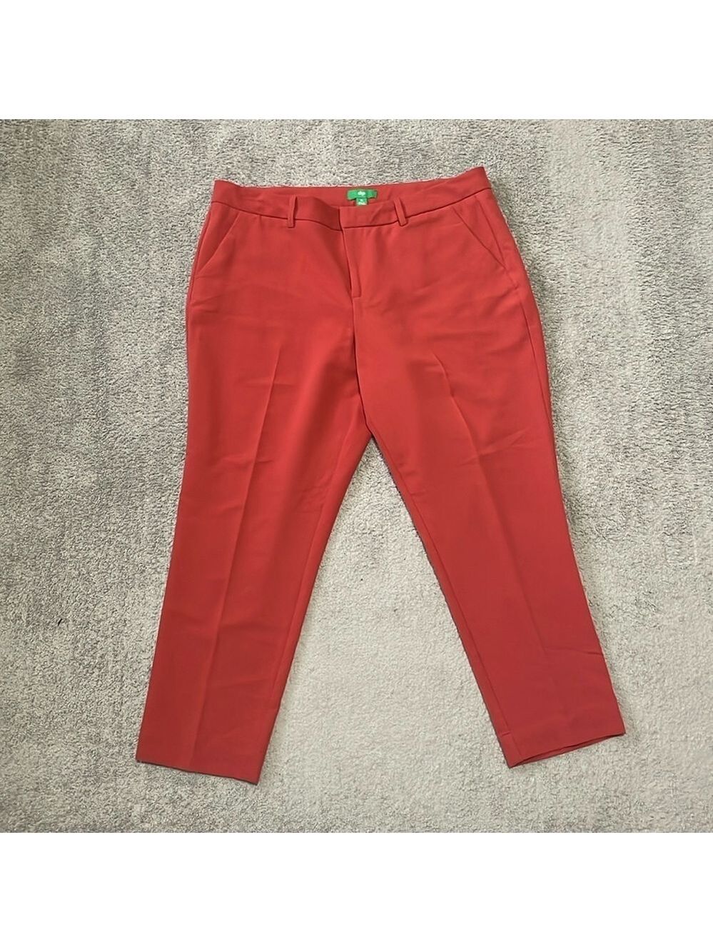 EC DIP Rust Colored Dress Pants - Size 16